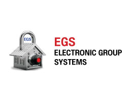 ELECTRONIC GROUP SYSTEMS
